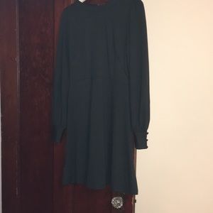 Dark green long sleeve LOFT dress size 2p